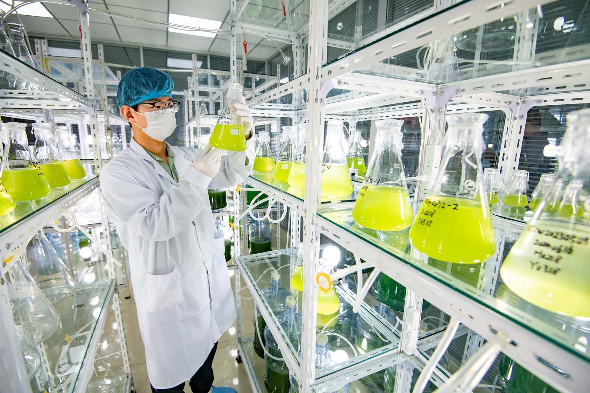 恩多施生物